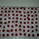 Panaderia